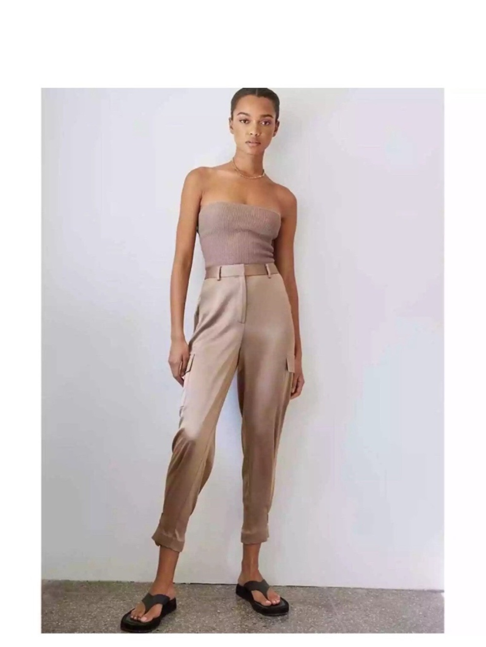 Aritzia Babaton Refined Satin Cargo Pant in Deep Taupe, size 10